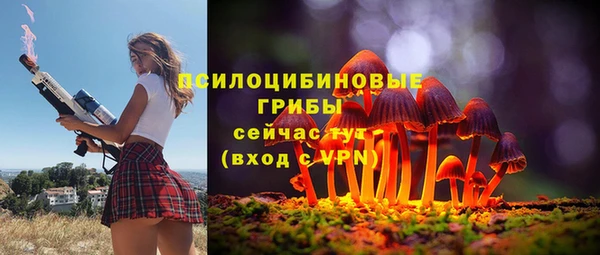 дживик Алексеевка