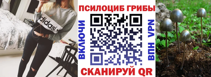 Галлюциногенные грибы мухоморы  Новокузнецк 